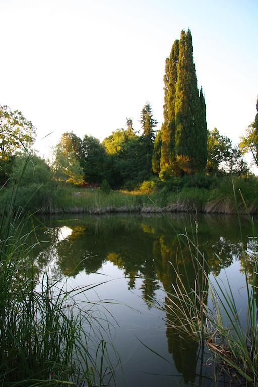 Aparthotel Le Valli Pomarance Exteriér fotografie